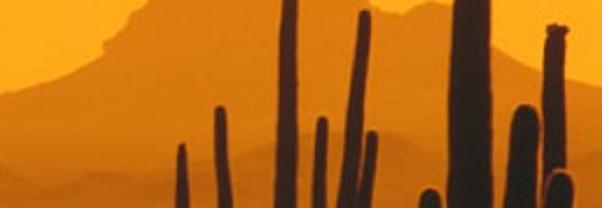 cactus picture